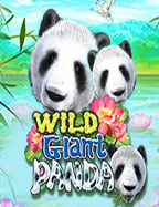 เทคนิควิธีเล่น สล็อต happyluke ให้สนุกสุดมันส์